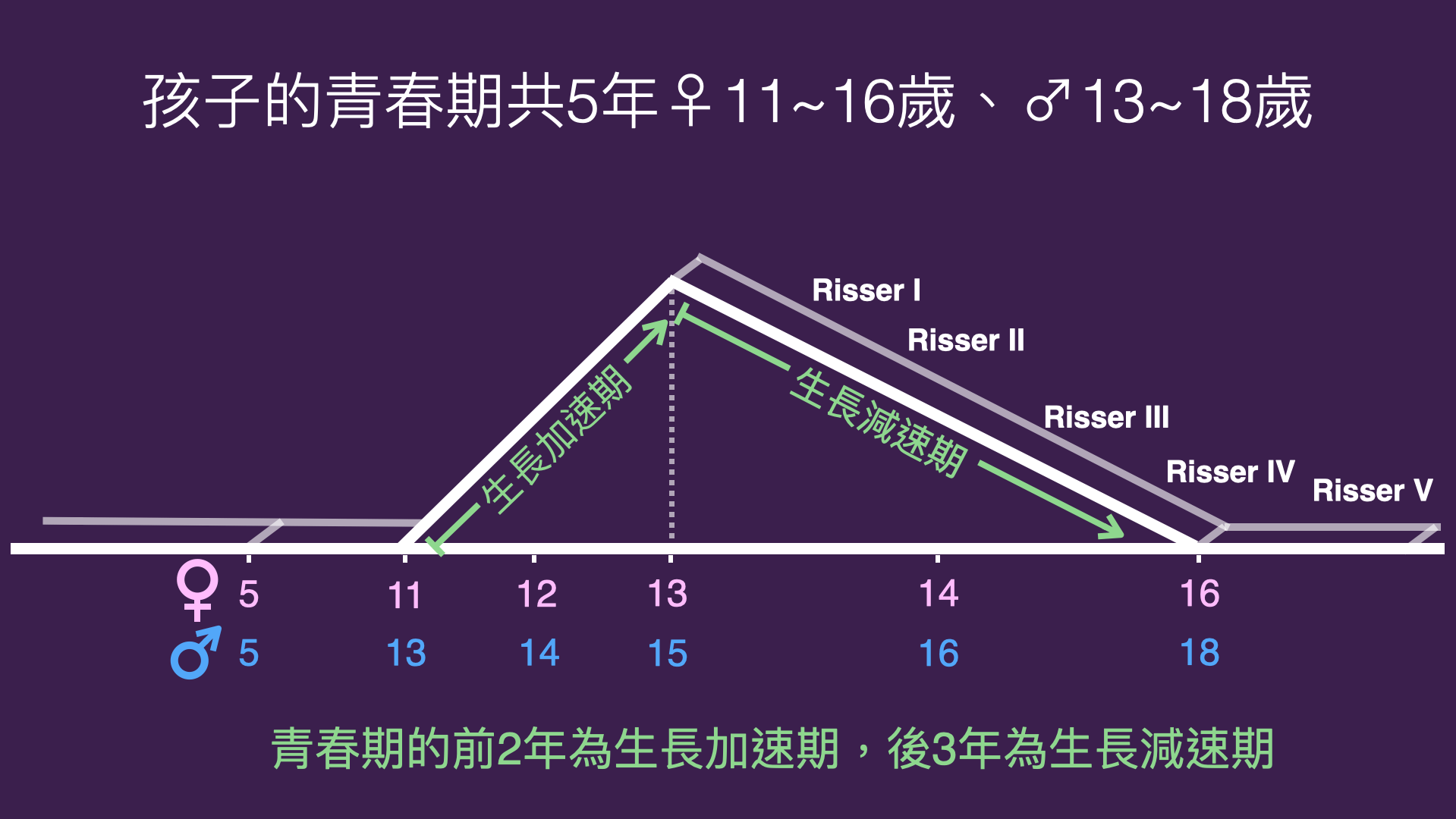 孩子的青春期分為2個時期：生長加速期及生長減速期