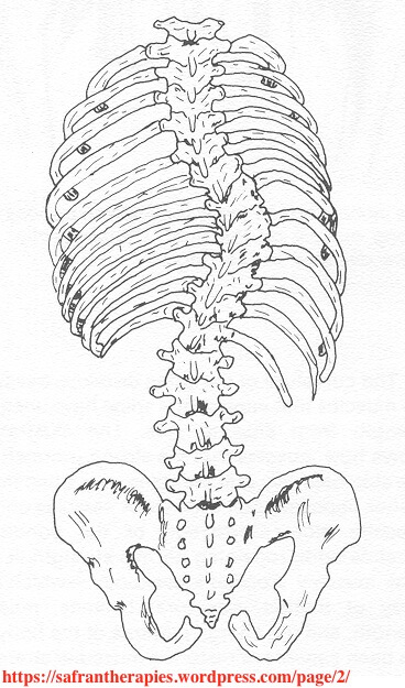 胸椎側彎伴隨肋骨旋轉