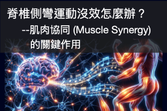脊椎側彎運動沒效怎麼辦？專業解析：肌肉協同 (Muscle Synergy) 的關鍵作用